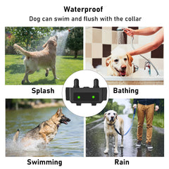 Electric Shock Collar