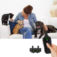 Electric Shock Collar