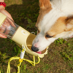 2 In 1 Water Bottle