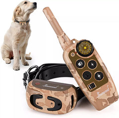Training Collar